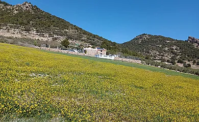 Antigua Casa Rufo en Pozo Alcón (Jaén) - Foto 10
