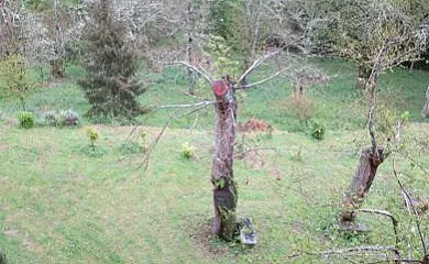 Casa do Souto en Xunqueira De Ambia (Ourense) - Foto 16