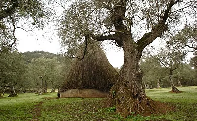 Lorenzo FELIX GOMEZ en Encinasola (Huelva) - Foto 23