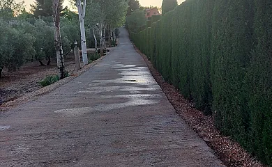 Hoya de la Virgen en Pozo Alcón (Jaén) - Foto 4