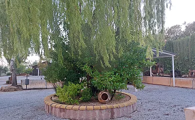 Hoya de la Virgen en Pozo Alcón (Jaén) - Foto 10