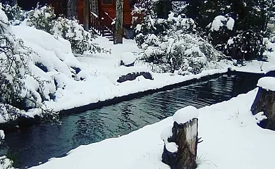 Apartamentos Rurales Matagacha en Villaviciosa (Ávila) - Foto 19