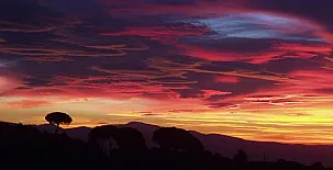 Cortijo Balzain Casas Rurales 002