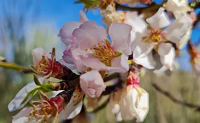Cortijo Balzain Casas Rurales en La Zubia (Granada) - Foto 17