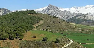 Cortijo Balzain Casas Rurales 0052