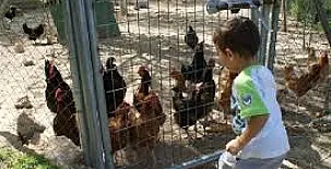 Cortijo Balzain Casas Rurales 005