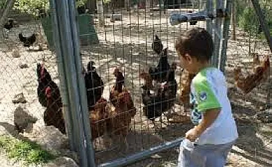 Cortijo Balzain Casas Rurales en La Zubia (Granada) - Foto 5