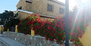 Casa Sol de Membrillo 003