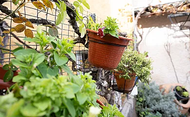 Los Arrieros en La Puerta (Guadalajara) - Foto 16