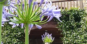 Casona El Jardín de Carrejo 0021