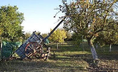 La Calceta en Villaluenga De La Vega (Palencia) - Foto 2