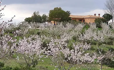 Villa Madroñal en Valverde Del Camino (Huelva) - Foto 13