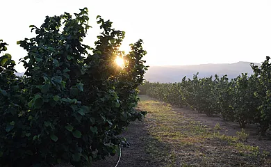 Mas de Serra en Vilallonga Del Camp (Tarragona) - Foto 20