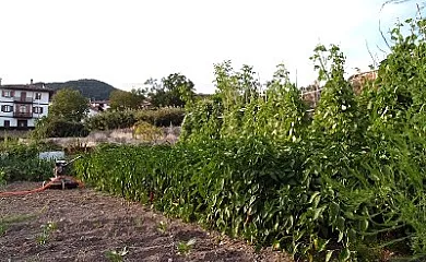 Casa Etxarrienea I y II en Salinas de Oro (Navarra) - Foto 23