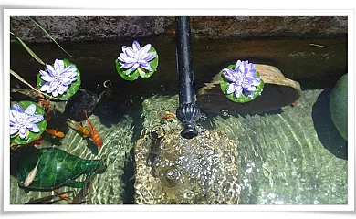 La Caseria de las Delicias en Ribera Alta (Jaén) - Foto 13