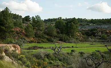 Casas Finca de las Nieves en Cehegin (Murcia) - Foto 22