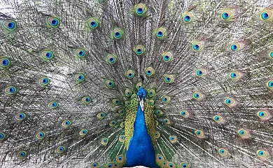 Casas Finca de las Nieves en Cehegin (Murcia) - Foto 23