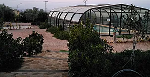 Olivos de Noja 008