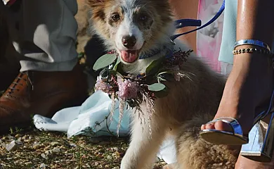 Aldea Do Mazo en Folgoso Do Courel (Lugo) - Foto 15
