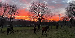 El Pinarcillo de Gredos 0026