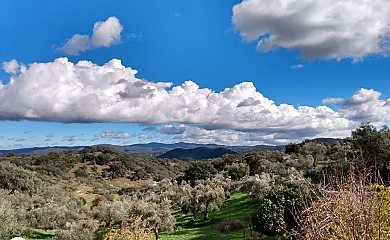 Las Laderas de Maripasa en Cazalla de la Sierra (Sevilla) - Foto 15
