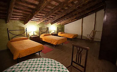 La Vinyeta en Sant Pere de Torello (Barcelona) - Foto 14