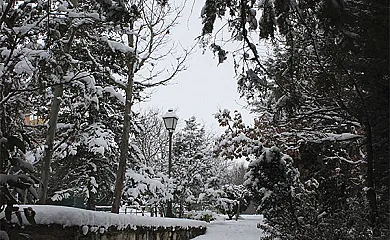 La Finca de Curro en Torre Val de San Pedro (Segovia) - Foto 17