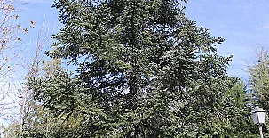 La Finca de Curro 0018