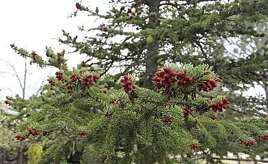 La Finca de Curro en Torre Val de San Pedro (Segovia) - Foto 19