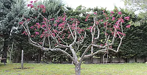 La Finca de Curro 0020