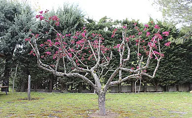 La Finca de Curro en Torre Val de San Pedro (Segovia) - Foto 20
