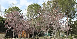 La Finca de Curro 0022