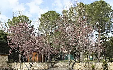 La Finca de Curro en Torre Val de San Pedro (Segovia) - Foto 22