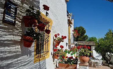 Cortijo Pulgarin Bajo en Alfarnatejo (Málaga) - Foto 11