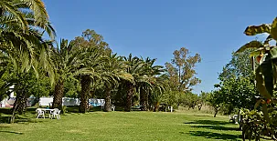 Cortijo Pulgarin Bajo 002