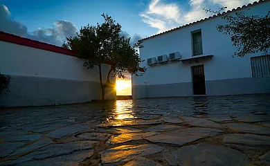 Cortijo Nuestra Señora de las Angustias en Alanis (Sevilla) - Foto 13