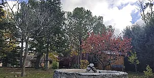 La Finca de Curro 0033