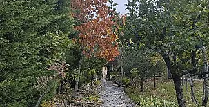 La Finca de Curro 0041