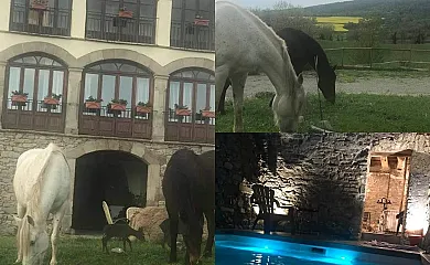 Mas Codines en Sant Boi De Lluçanes (Barcelona) - Foto 8