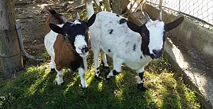 Enbutegi Casa Rural 006