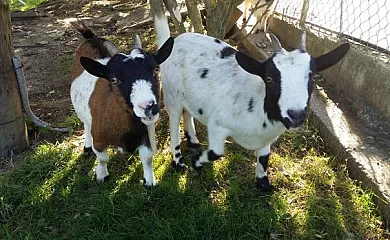 Enbutegi Casa Rural en Urnieta (Guipuzcoa) - Foto 6