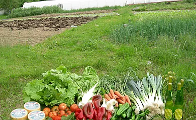 Enbutegi Casa Rural en Urnieta (Guipuzcoa) - Foto 17