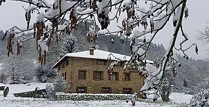 Agroturismo Iberreko Errota 005