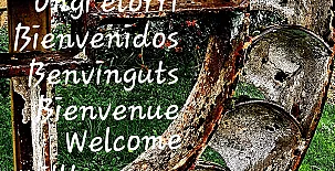 Agroturismo Iberreko Errota 0012