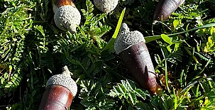 Casa Rural Obejuelo 005