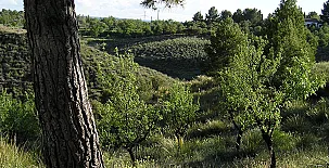 Finca El Alto de Secadura 0035