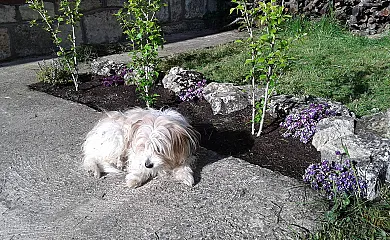 Casa Los Maestros en El Arenal (Segovia) - Foto 5