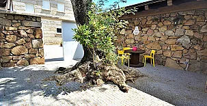 Apartamentos Turísticos Mamuela 0042