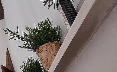 La Casa de 1950 en Montefrio (Granada) - Foto 7