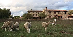 Casa Rural la Laguna I y II 0054